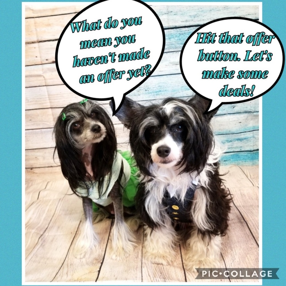Make us an offer!